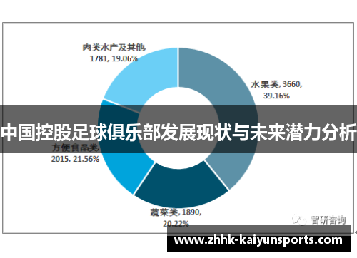 中国控股足球俱乐部发展现状与未来潜力分析