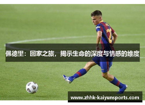 佩德里：回家之旅，揭示生命的深度与情感的维度