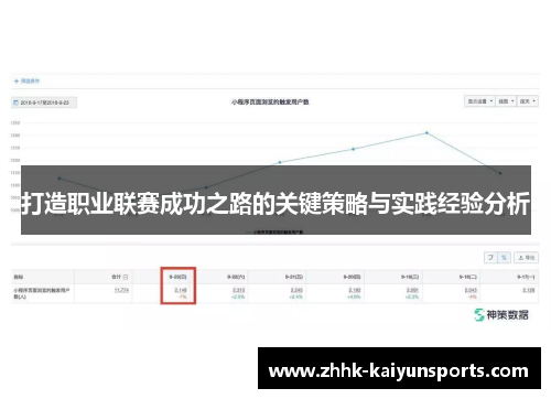 打造职业联赛成功之路的关键策略与实践经验分析