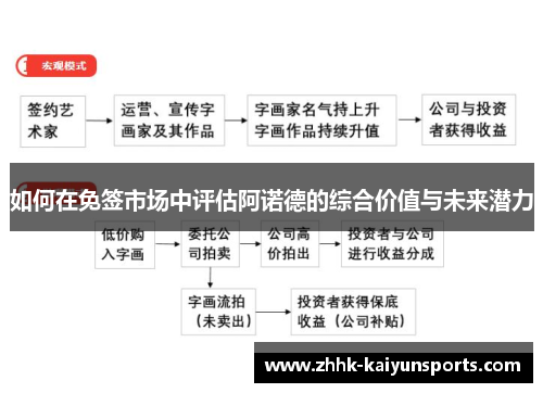 如何在免签市场中评估阿诺德的综合价值与未来潜力