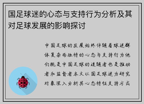 国足球迷的心态与支持行为分析及其对足球发展的影响探讨